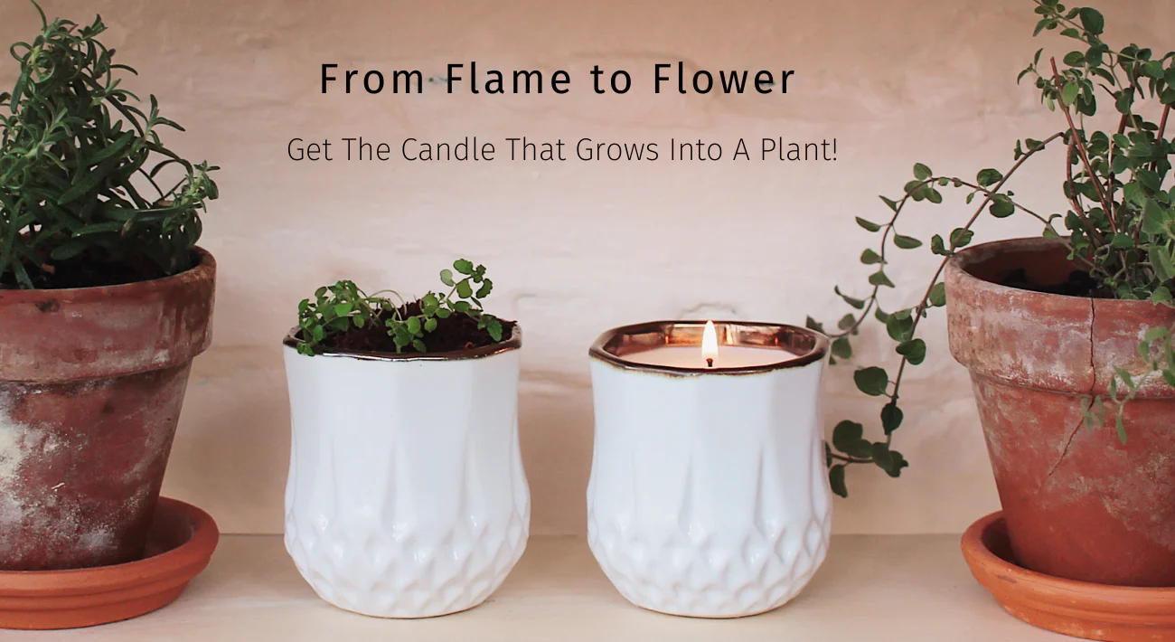 Hyggelight | The Growing Candle 04-24-25 - Image 2