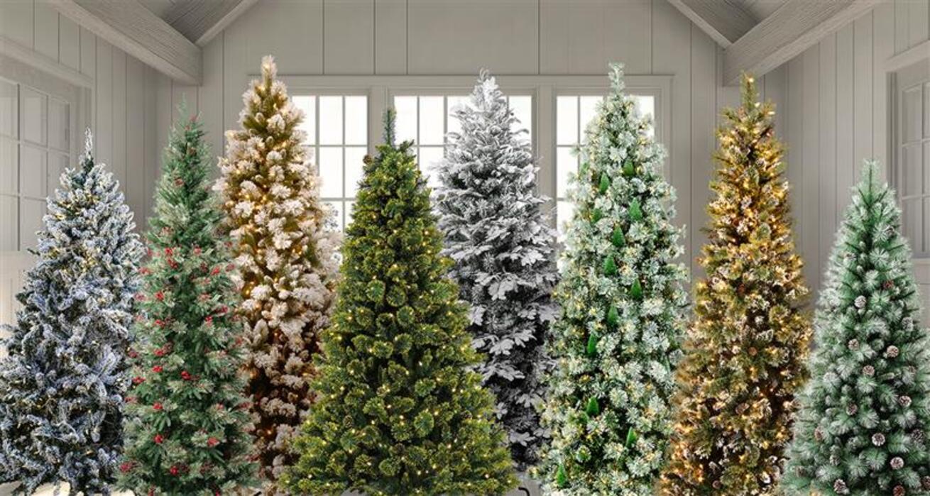 National Tree Company 11-19-25 - Image 2