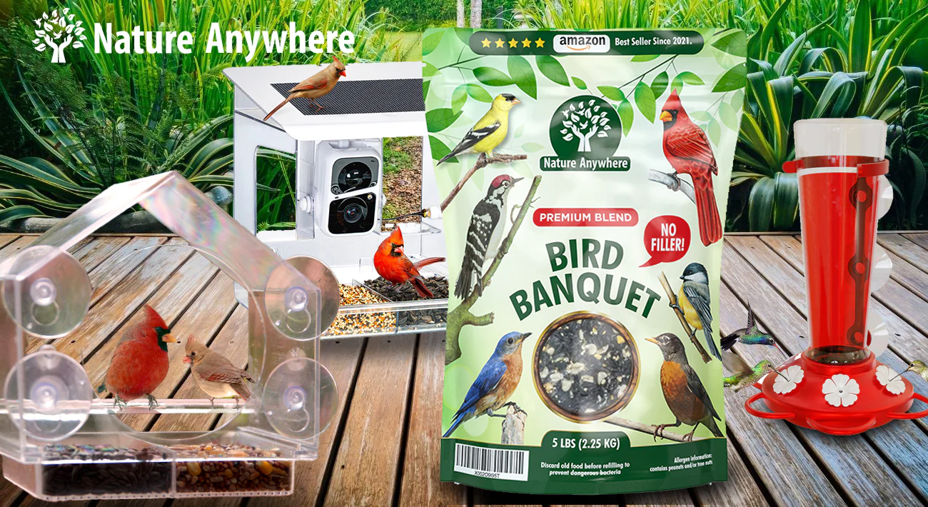 Nature Anywhere 06-23-25 - Image 2