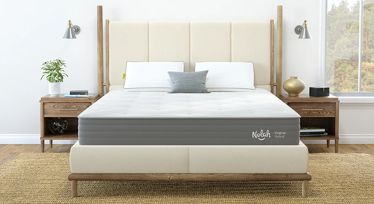 Nolah 09-08-23 (LSS) - Image 2