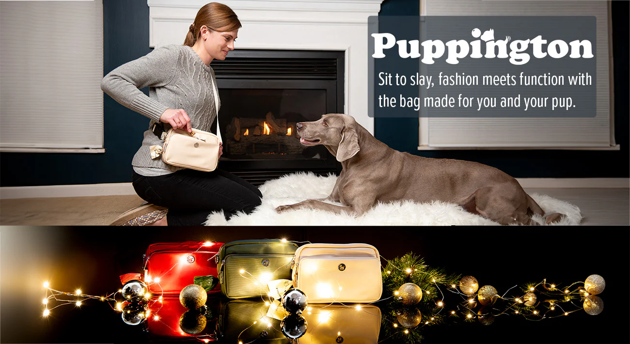 Puppington 12-09-24 - Image 2