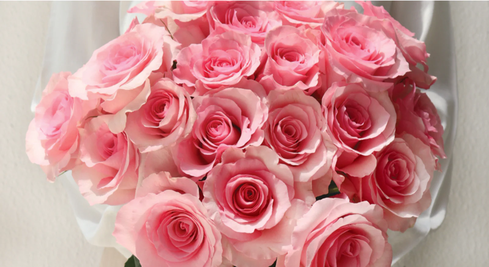 Rose Farmers 11-17-25 - Image 2