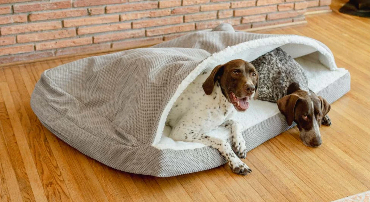Snoozer Pet Products 07-10-25 LSS - Image 2