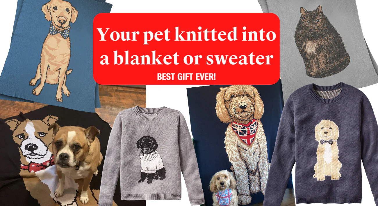 Sweater Hound 11-01-24 - Image 2